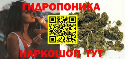 а пвп мука Кингисепп