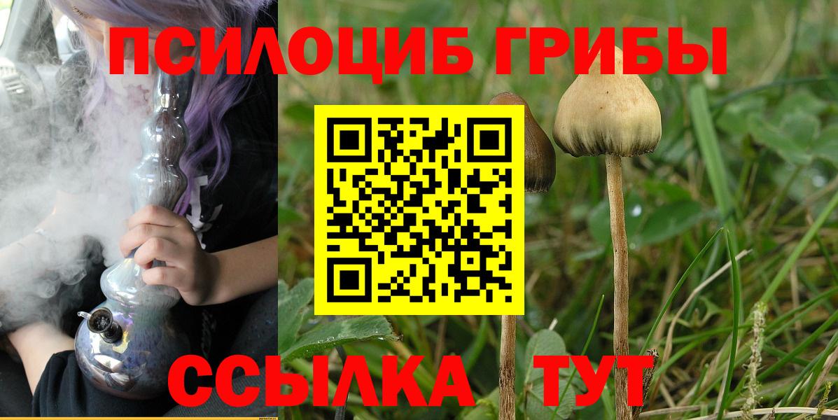 Псилоцибиновые грибы Psilocybine cubensis  Вход с VPN  Королёв 